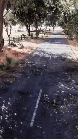 empty road leading through trees