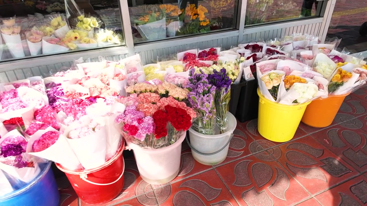 Farverige roser og nelliker i plastikspande ved en solrig udendørs blomsterbod i Thailand.