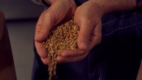 brewery worker pouring hop grains