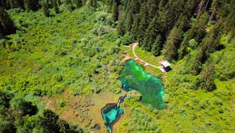 Aerial-4K-drone-footage-of-Zelenci-Springs