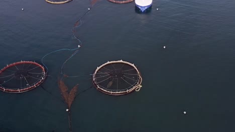 tilting drone shot of fish cages on a fish farm with a fishing vessel