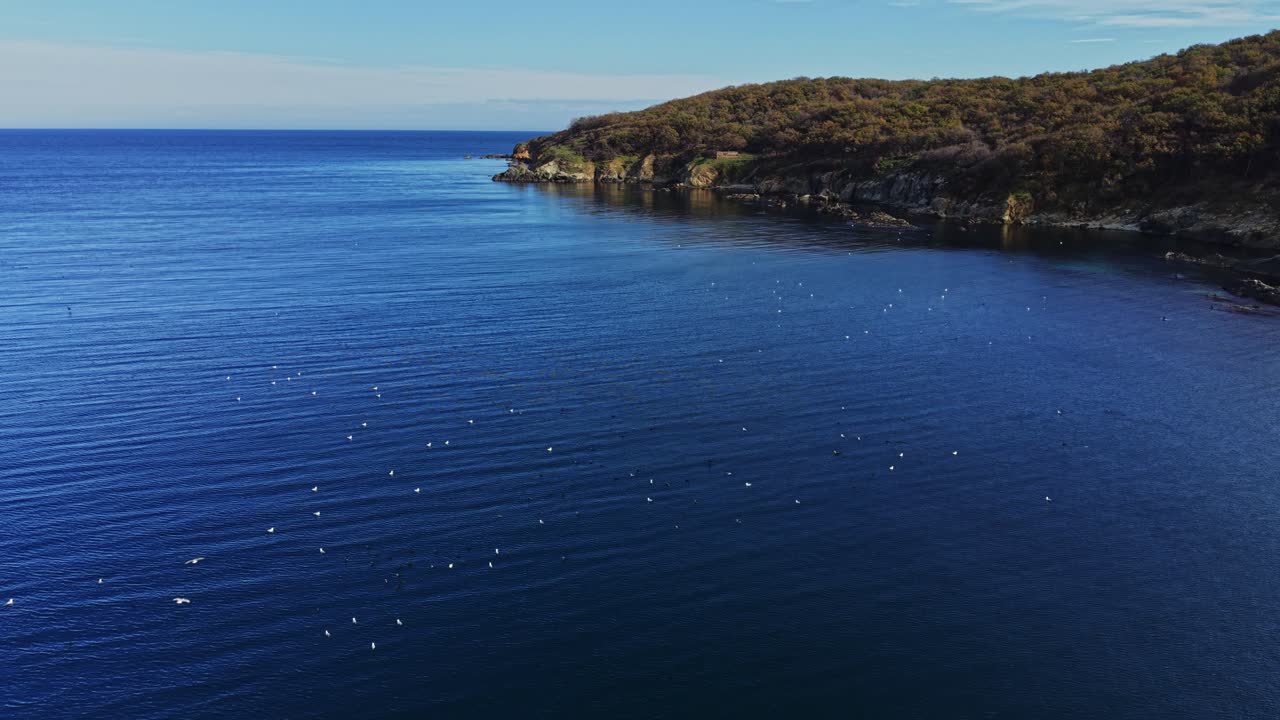 Views of calm coastal waters and distant cliffs during clear weather