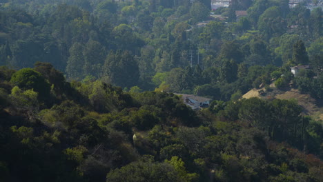 Toma-Estacionaria-De-La-Ladera-Cubierta-De-árboles-En-Las-Colinas-De-Hollywood-En-El-Sur-De-California