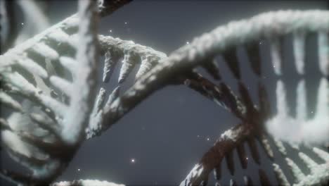 double helical structure of dna strand close-up animation