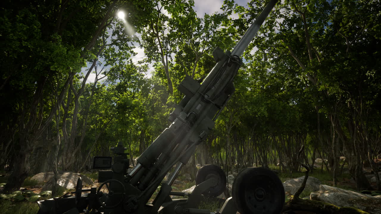 un grosso cannone nella foresta