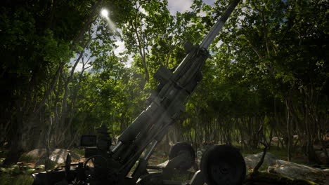 big gun cannon in the forest