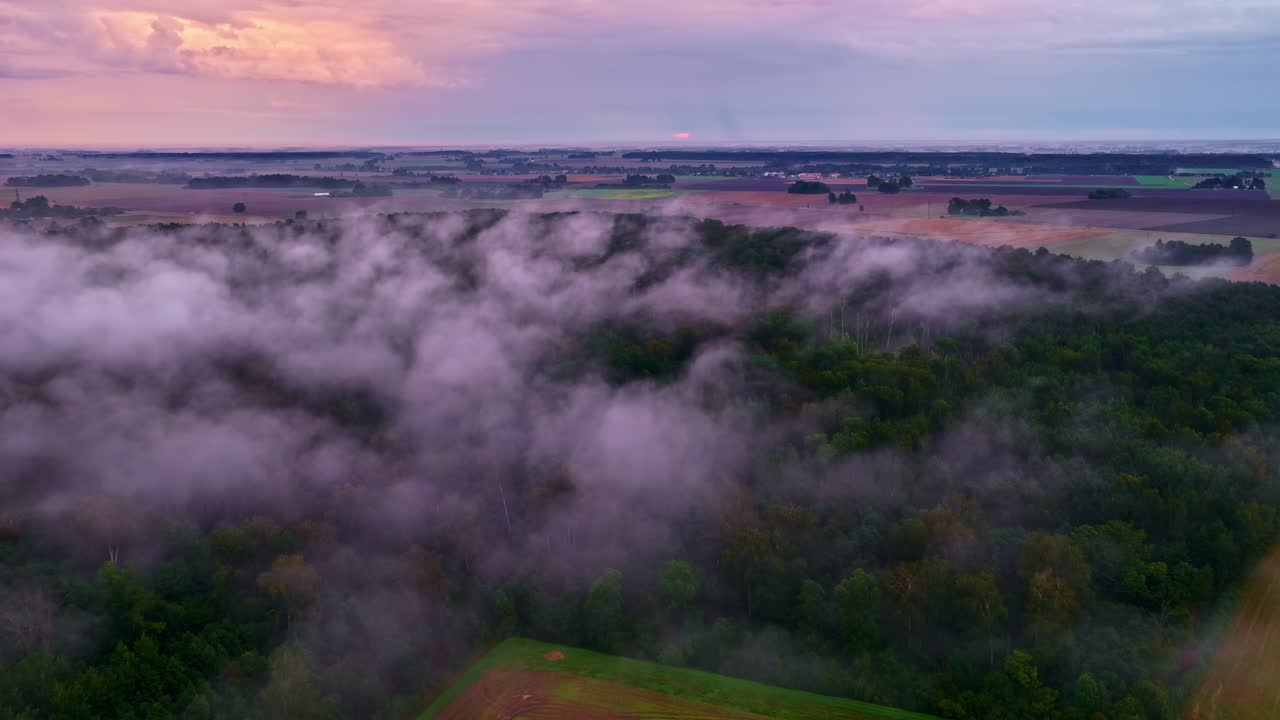 Vista aerea della fitta nebbia mattutina su una foresta verde e terreni agricoli
