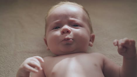 adorable niño recién nacido con mejillas gordas y grandes ojos azules
