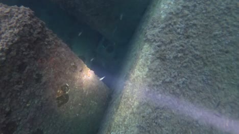 Diver-exploring-the-concrete-blocks-of-a-dock-at-the-exit-of-a-port