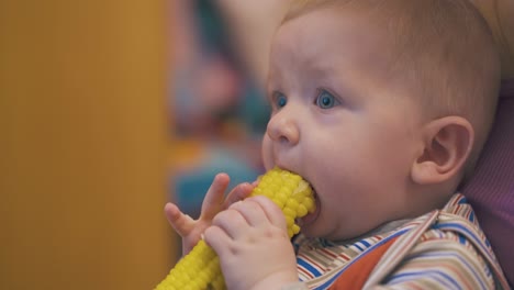 funny boy eats boiled corn on cob with mommy at home