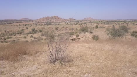 Amplia-Vista-De-La-Tierra-árida-Con-Plantas-Secas-En-Rajasthan,-India---Tiro-De-Seguimiento