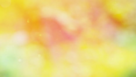 fondo de movimiento de bokeh de bosque abstracto