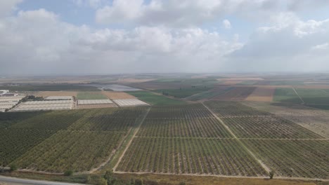 Toma-Aérea-Del-Campo-De-Cosecha-En-Sdot-Nerge,-Israel