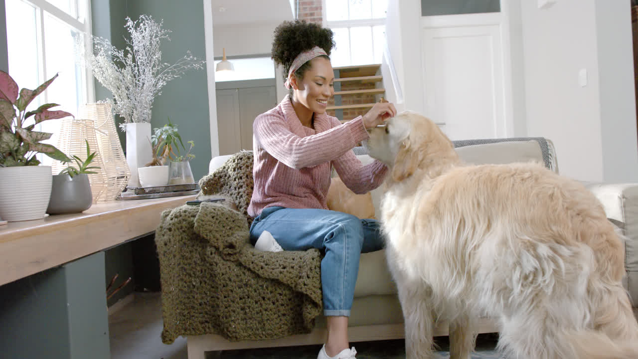 Glad kvinne av blandet etnisitet som klapper golden retriever-hund hjemme, sakte film