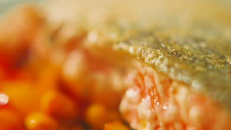 macro close up side view of salmon fillet with golden crispy skin. highly detailed view of texture on fish with different patterns in meat