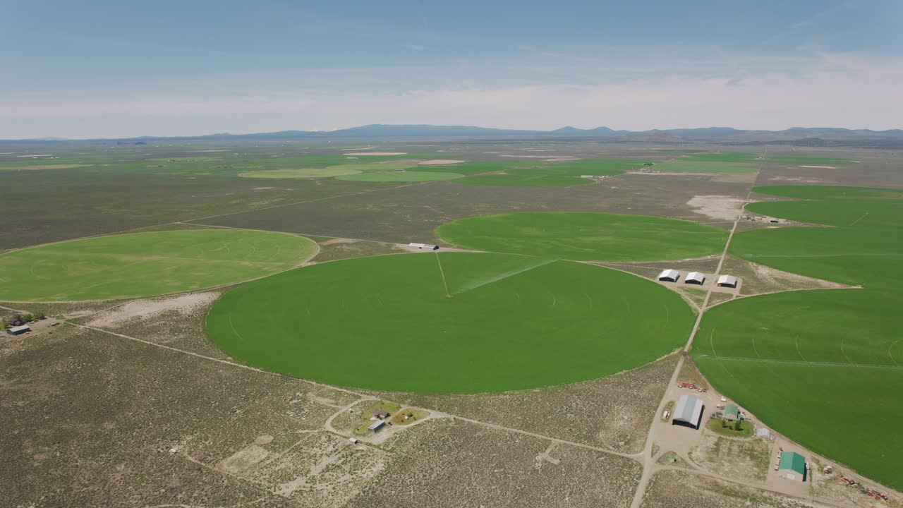 Aerial view of crop circles.