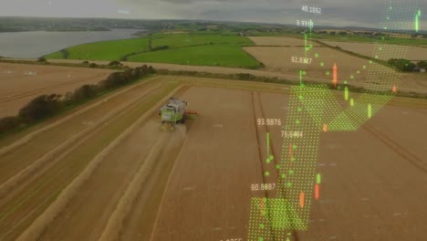 Animación-De-Estadísticas-Y-Procesamiento-De-Datos-Financieros-Sobre-El-Campo-Agrícola