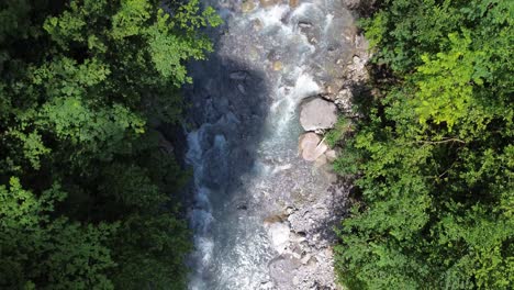 aerial view of clear river between forest with green trees in austrian nature