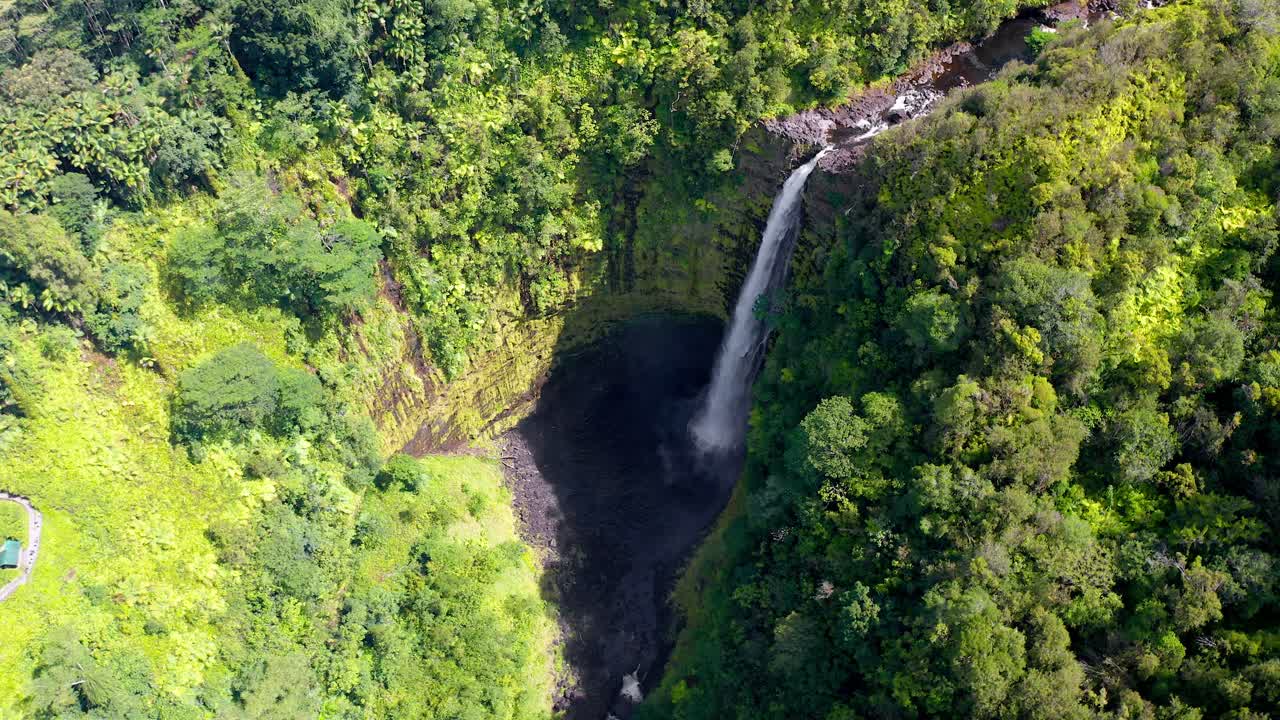 Aerial footage of Akaka Falls in Hawaii, where a tall narrow waterfall drops from a high cliff into a shaded rocky basin, framed by lush green rainforest