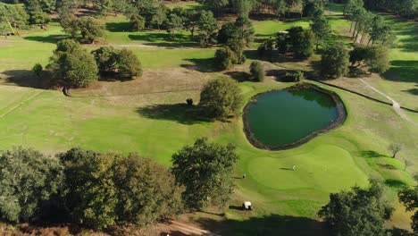 vista aérea del campo de golf de lujo en el bosque 4k.