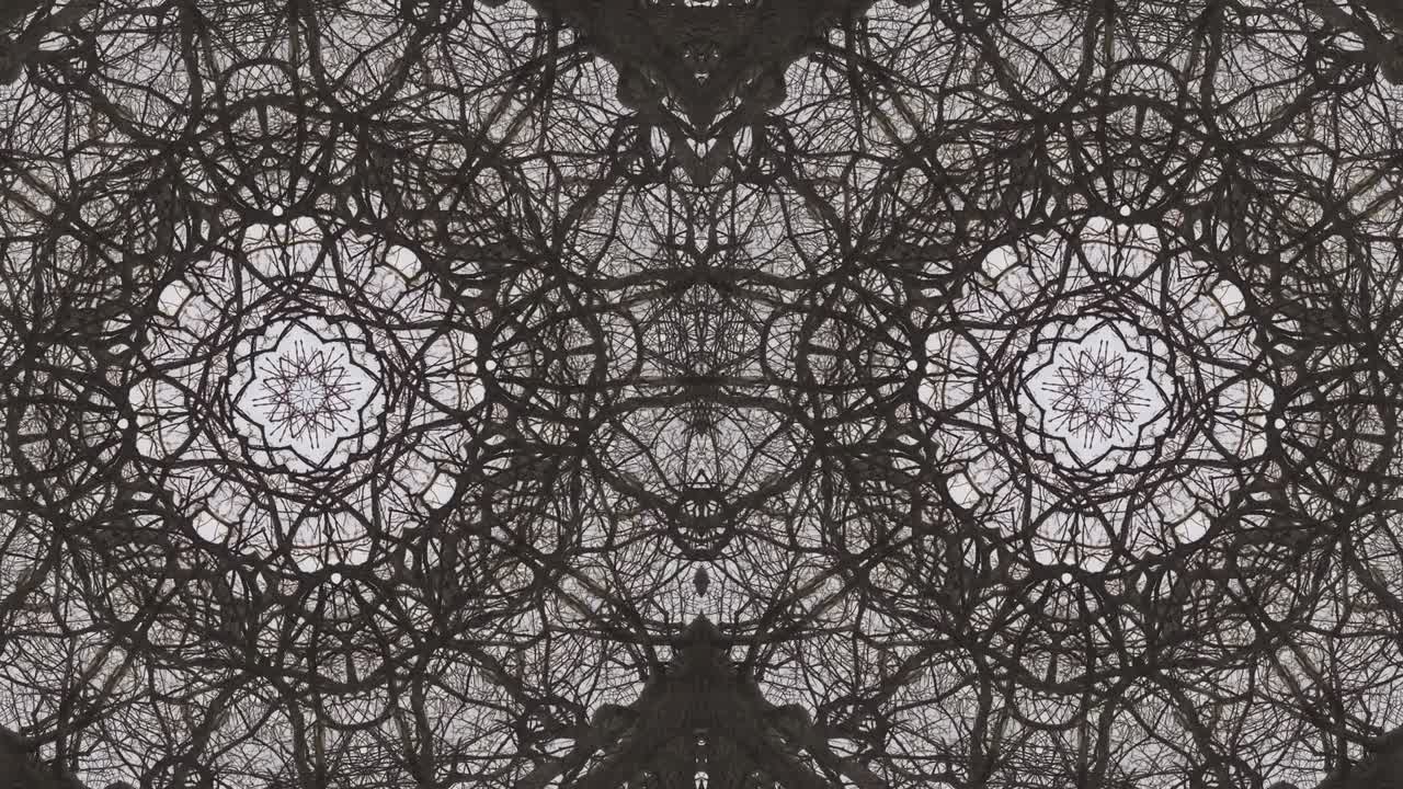 árboles en simetría - en bucle