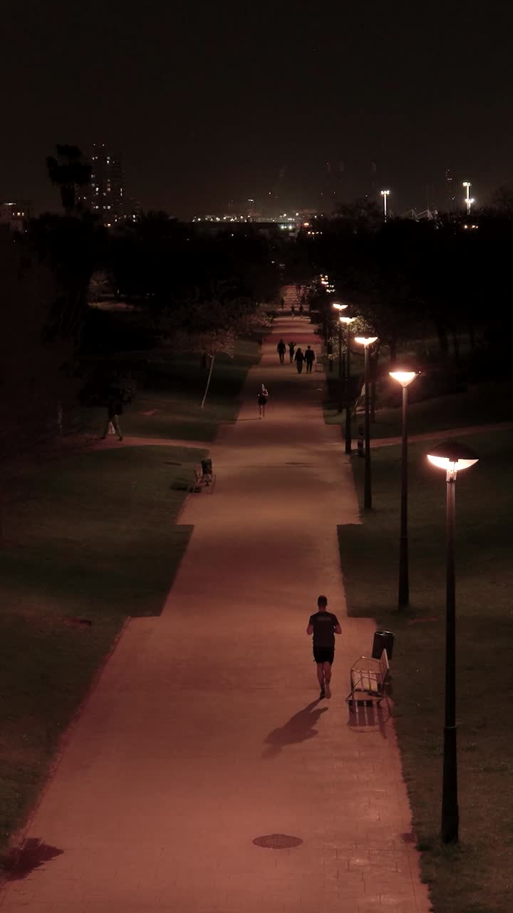 Night Walk in Park