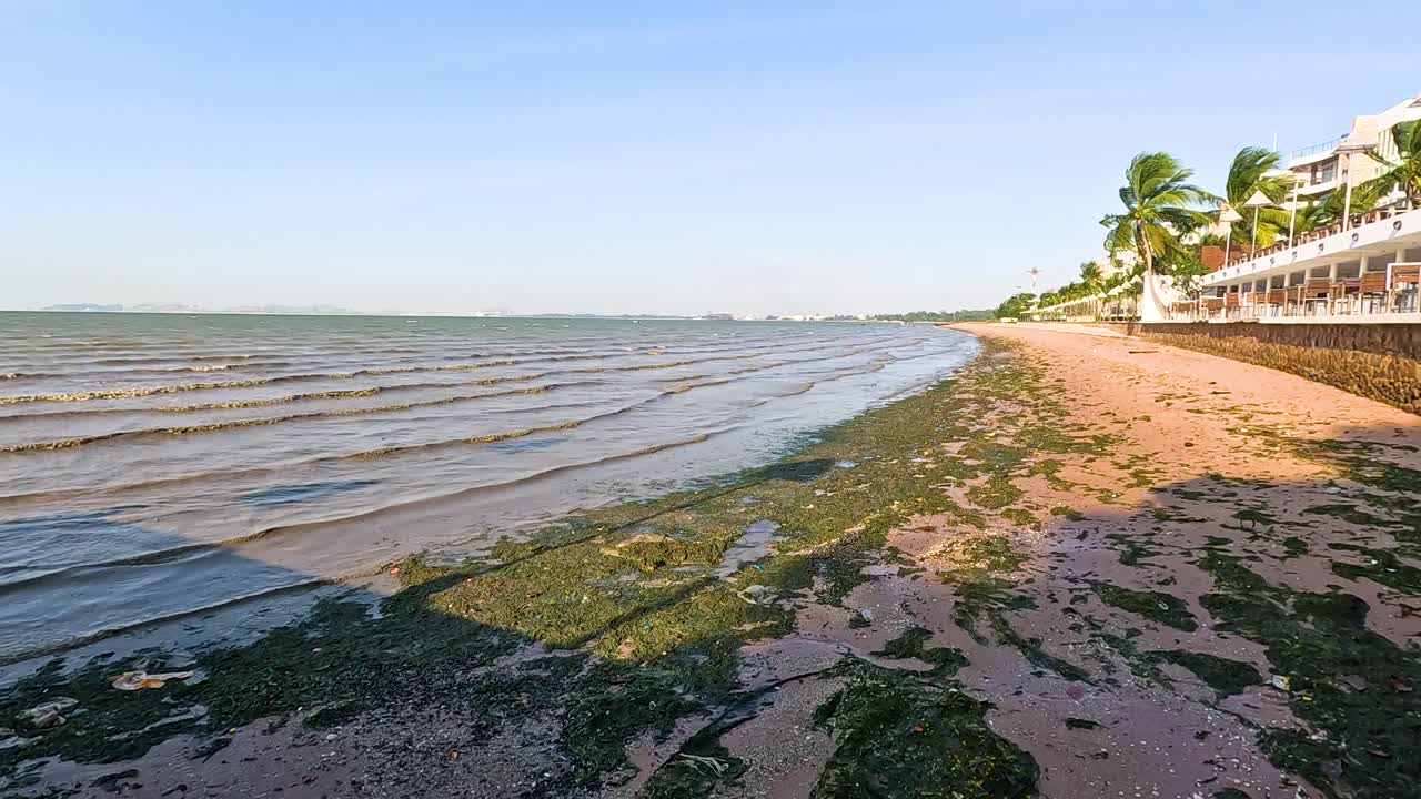 A tranquil beach scene with gentle waves and palm trees under clear skies in Chonburi, Thailand