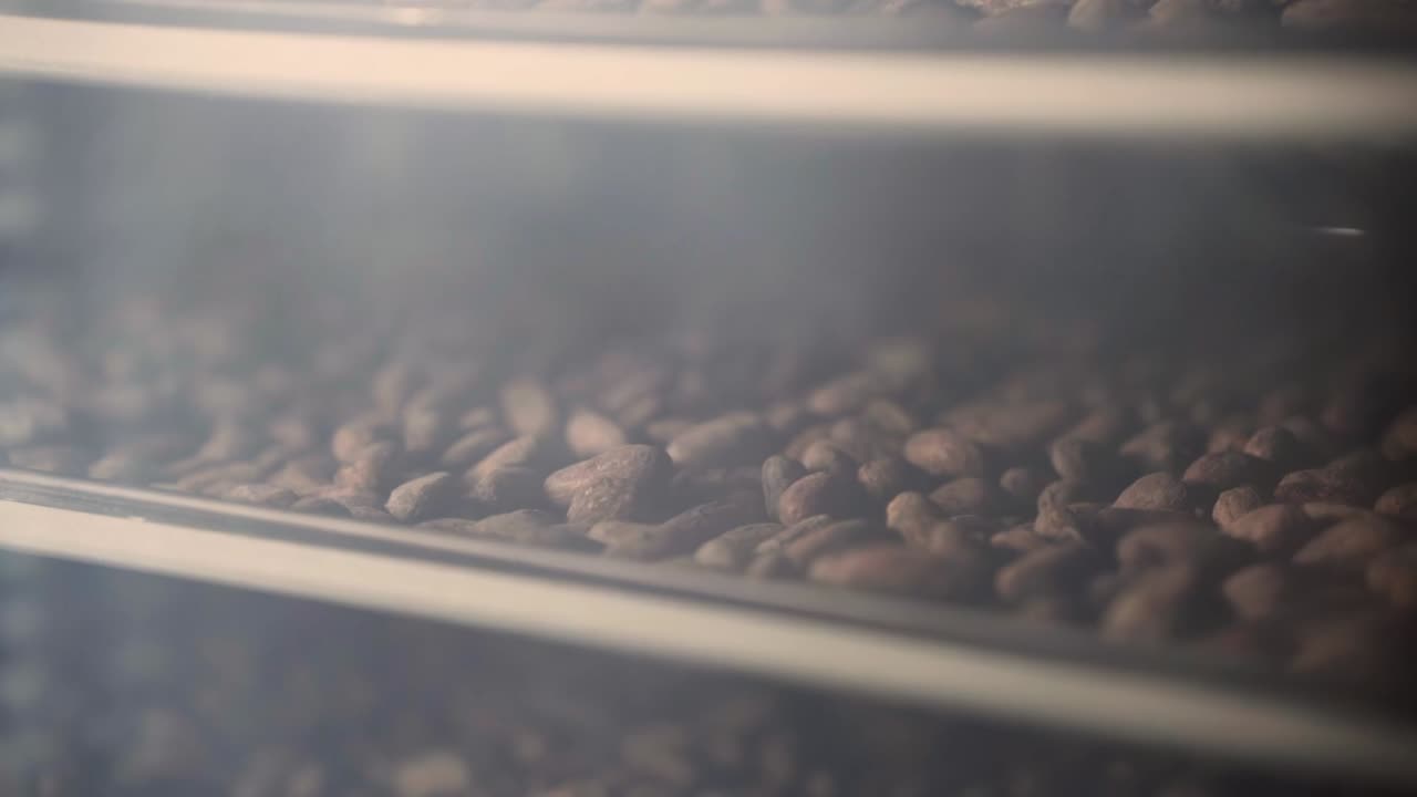 Chocolate Cacao Pods In Oven Trays - Close Up Shot