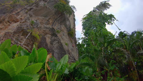 Zeitlupe-|-Kletterer-Auf-Einer-Klippe-In-Der-Ferne-Mit-Grünem-Laub-Ringsum