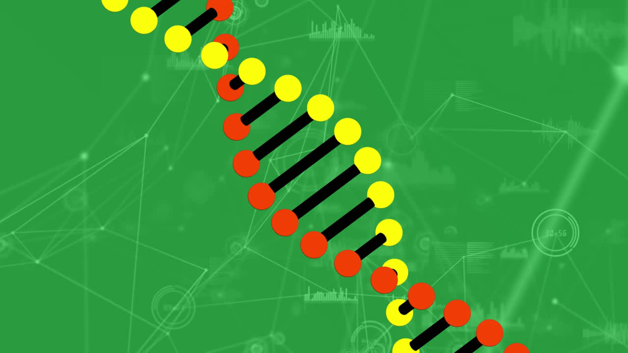 animación de la red de conexiones sobre la cadena de adn