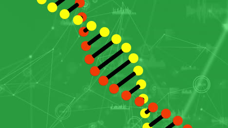 animación de la red de conexiones sobre la cadena de adn