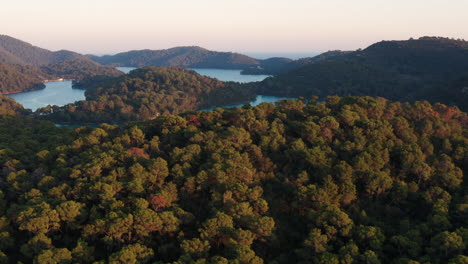 scenery of dense forest on the mountain islands at mljet national park during sunset in dalmatia, croatia