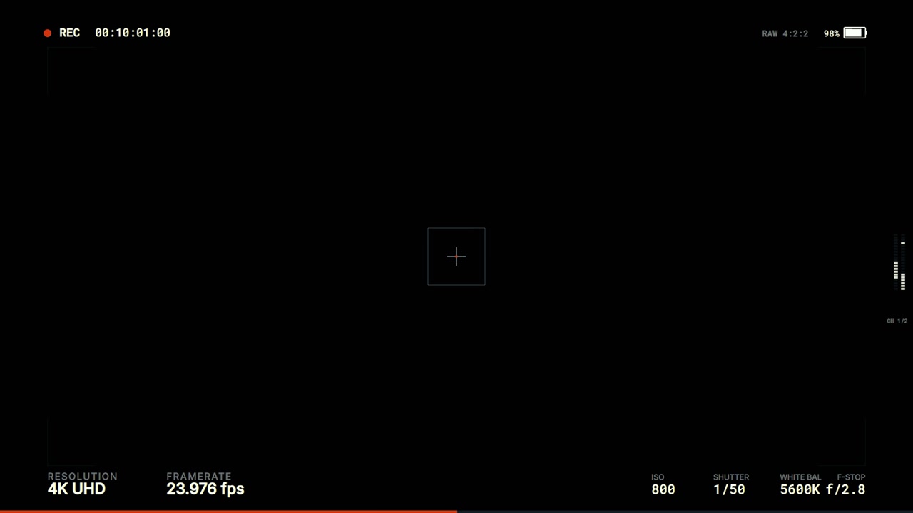 Digital Camera Viewfinder Interface with Recording Overlay