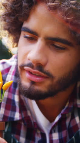 hombre sonriente mirando la planta de la olla