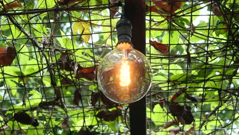 vintage edison bombilla colgando luz en un entorno de jardín