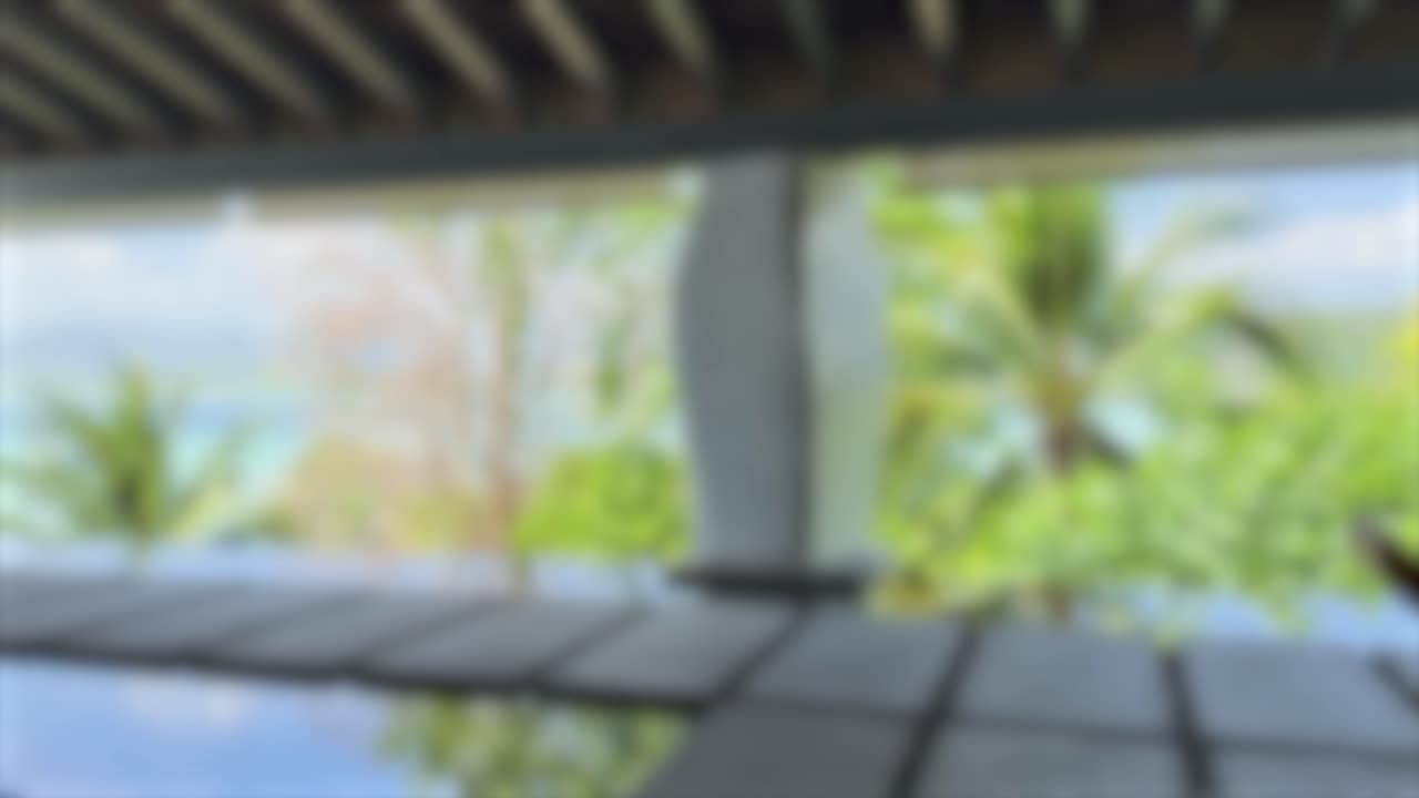 열대 식물과 물과 함께 흐릿한 럭셔리 설정