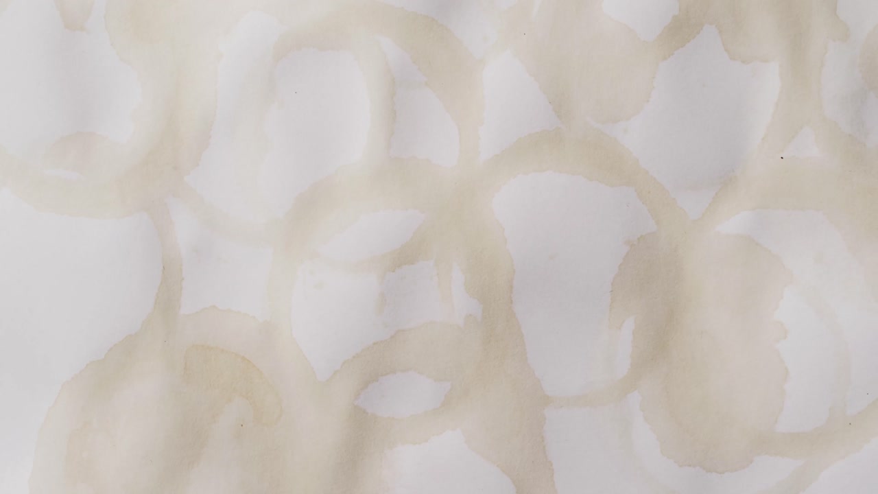 video de un primer plano de un pedazo de papel con manchas redondas de taza de café sobre un fondo blanco