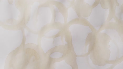 video de un primer plano de un pedazo de papel con manchas redondas de taza de café sobre un fondo blanco