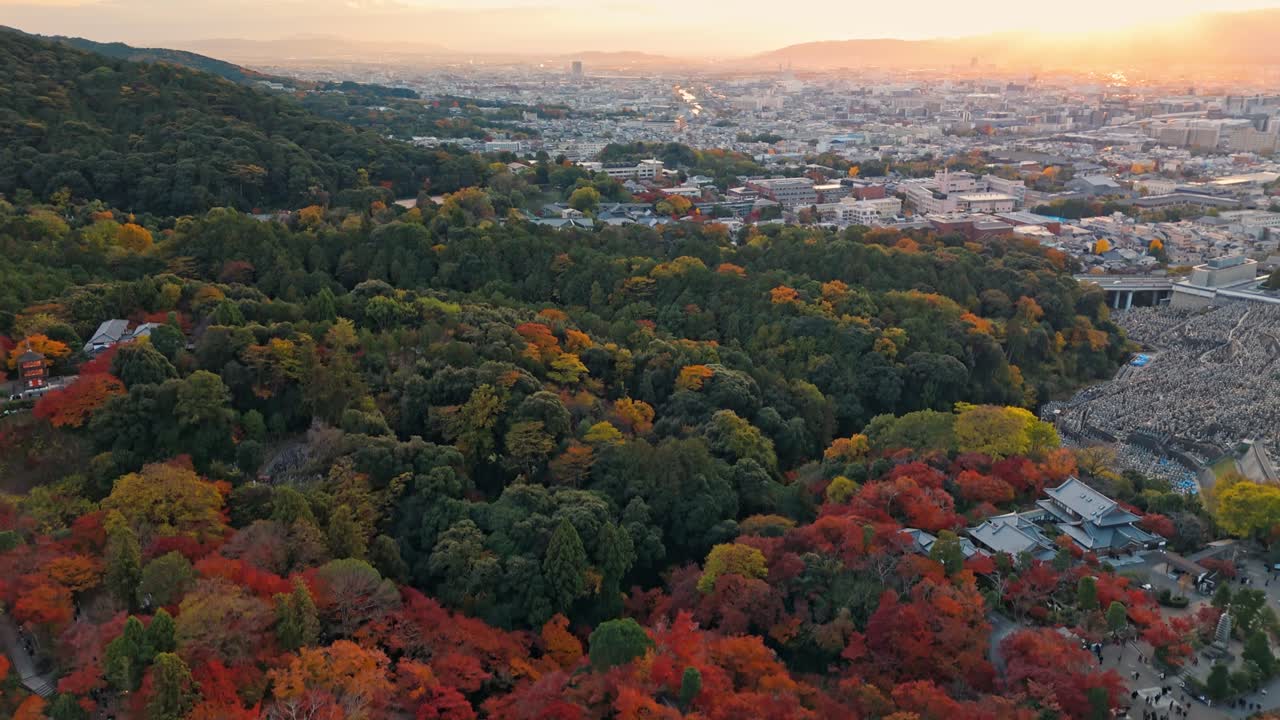 las vibrantes hojas rojas, naranjas y doradas crean un pintoresco contraste con la arquitectura tradicional de la ciudad de kioto.