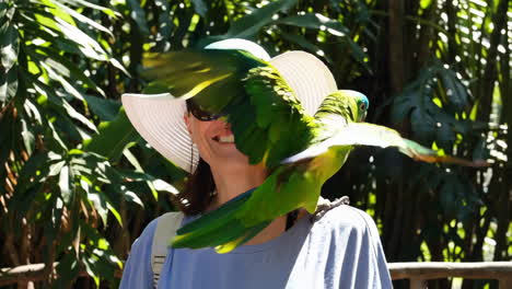 woman and parrot in a tropical setting