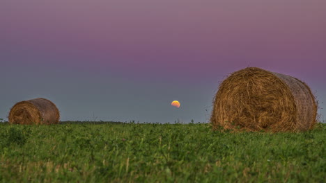 gran fardo de heno enrollado en el campo durante la puesta de sol hasta el amanecer