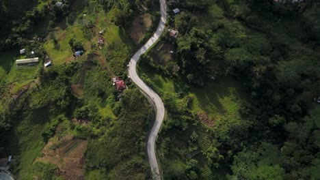 rural tropical road meandering on green hill, mantalongon in cebu, aerial