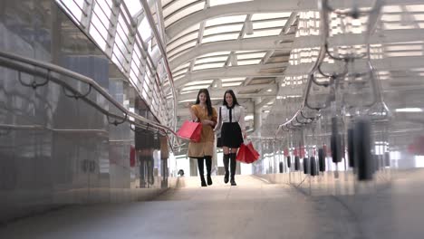 beautiful young woman shopping together in city. lady holding red shopping bag on hands.