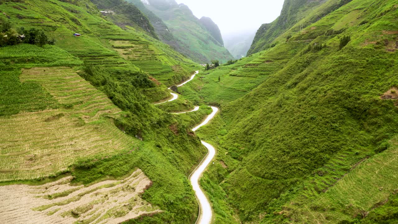 hermoso camino sinuoso tallado en un hermoso y exuberante valle verde en el paso de ma pi leng en el norte de vietnam