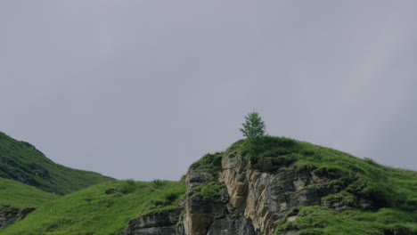 bearded vulture flying in blue sky, towards camera and landing on a mountain