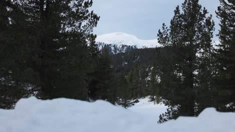 Sass-De-Putia,-Bolzano,-Italy---An-Observation-of-a-Mountain-Blanketed-in-Snow-and-Adorned-with-Evergreen-Trees---Wide-Shot