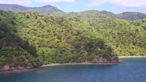 curvy coastal line of hills and forests. view from the ferry driving through the malborough sound of new zealand, south island