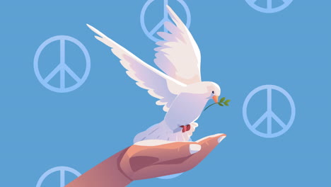 hand with dove bird flying animation