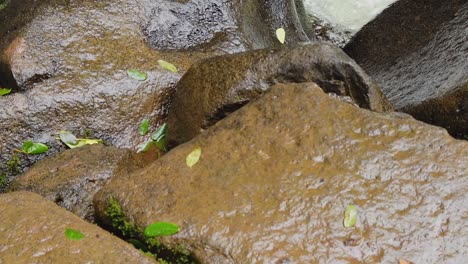 HD-Hawaii-Kauai-Zeitlupe-Boomt-Von-Großen-Felsen-Zu-Einem-Fluss,-Der-Von-Links-Nach-Rechts-In-Das-Bild-Strömt-Und-Im-Mittleren-Bild-Wirbelt