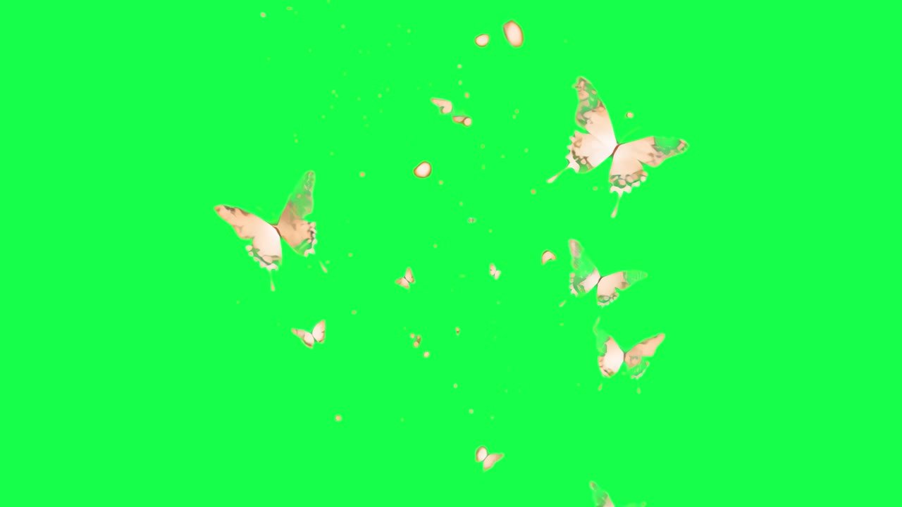 Butterflies fluttering animation, transparent 4K video, green screen